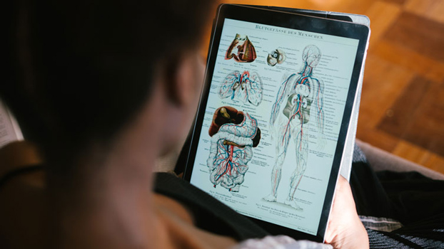 Person holding a tablet displaying detailed human anatomy illustrations, including diagrams of the lungs, heart, intestines, ears, and circulatory system.