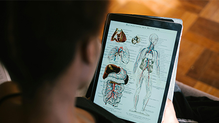 Person holding a tablet displaying detailed human anatomy illustrations, including diagrams of the lungs, heart, intestines, ears, and circulatory system.