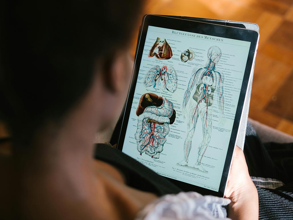 Person holding a tablet displaying detailed human anatomy illustrations, including diagrams of the lungs, heart, intestines, ears, and circulatory system.