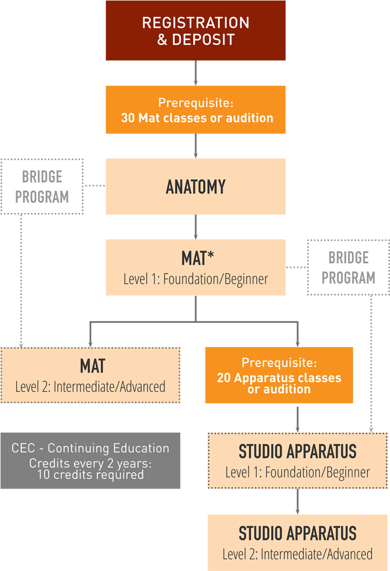 Flowchart depicting a progression from "Registration", Deposit" to "Studio Apparatus" levels, with prerequisites in "Anatomy" and "MAT" steps. Includes bridge programs and continuing education.